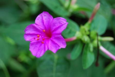 谁是你的本命神-流年六十太岁神名单